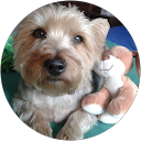 Rui R. profile picture